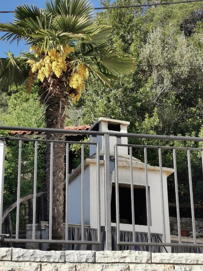 Villa Calendula Novigrad  Exterior foto